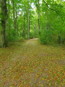 Annelies 03 Al herfst in het Flevopark